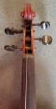 Antique 1900 ' S Germany Antonius Stradivarius Cremonensis Conservatory Violin 4/4 String photo 5
