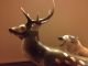 Royal Dux Stag Deer And Wolf.  Large Sculpture Statue.  18 Inches Long 11.  5 High. Figurines photo 4