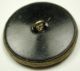 Lg Sz Antique Brass Fable Button Detailed Fox & Grapevine Scene 1 & 5/16 