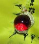 Eye Rare Button Thai Amulet Crystal Talisman Power Rich Lucky Red Pendant Naga Amulets photo 4