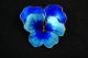 David - Andersen Modernism Enamel Blue Pansy Flower Brooch Pin Norway 925s Mid-Century Modernism photo 10