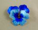 David - Andersen Modernism Enamel Blue Pansy Flower Brooch Pin Norway 925s Mid-Century Modernism photo 4