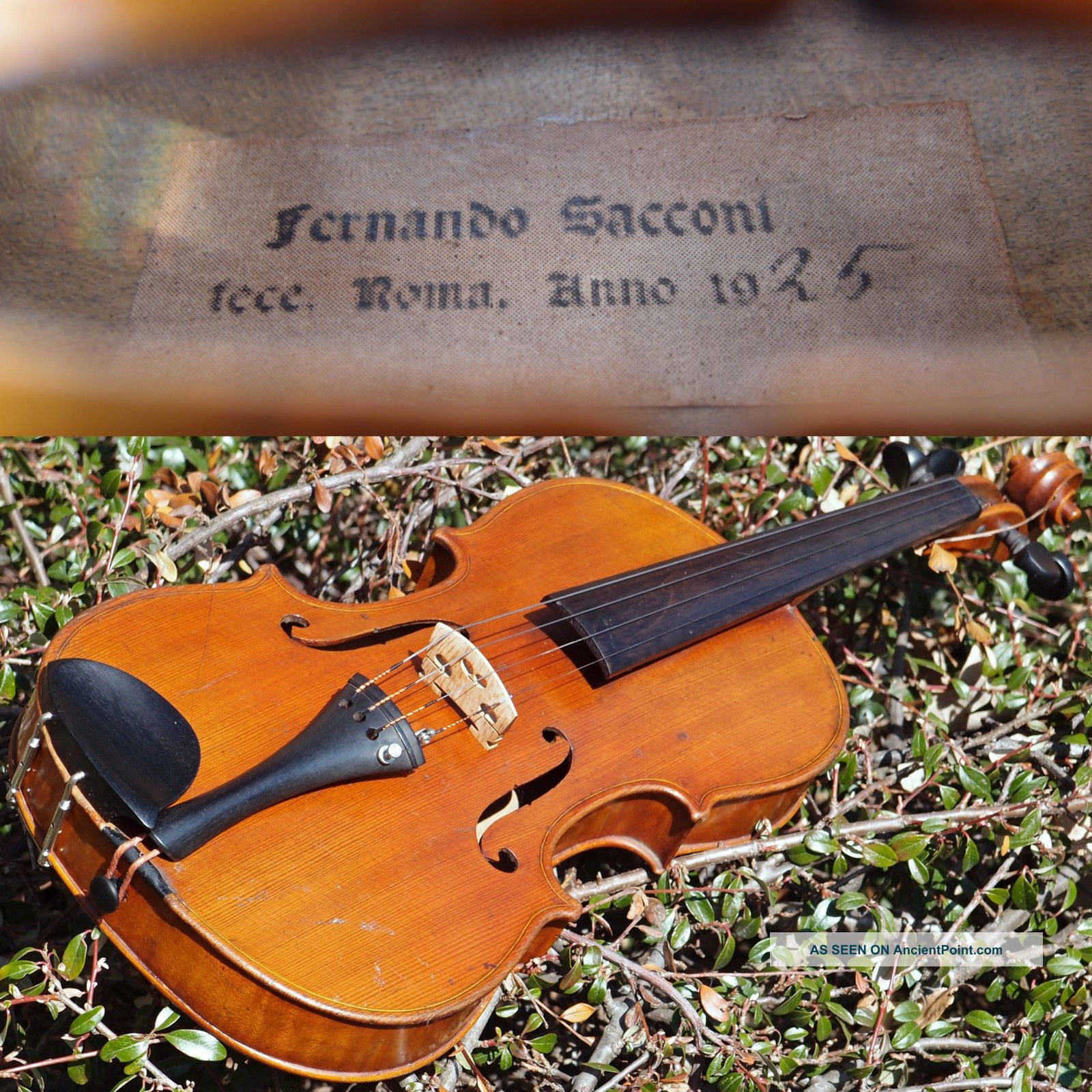 Antique Violin Labelled " Sacconi ". Mellow Tone