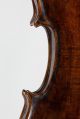 Violin Mariani Da Pesaro 1650 Exp.  Florian Leonhard Antico Violino Italiano String photo 2