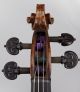 Violin Mariani Da Pesaro 1650 Exp.  Florian Leonhard Antico Violino Italiano String photo 4