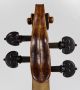 Violin Mariani Da Pesaro 1650 Exp.  Florian Leonhard Antico Violino Italiano String photo 5