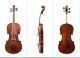 Violin Mariani Da Pesaro 1650 Exp.  Florian Leonhard Antico Violino Italiano String photo 6