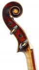 Rare,  Antique Baroque Italian 4/4 Old Master Violin - Geige,  Fiddle 小提琴 String photo 4