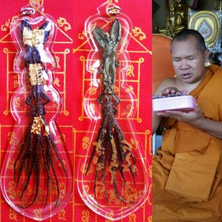 Rare Mystery 2 Head 9 Tails Gecko Lizard Thai Khmer Magic Buddha Gambler Amulet photo