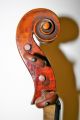 Old Antique 4/4 Italian? Violin Guadagnini Label Excl Playing Cond Grafted Neck String photo 9