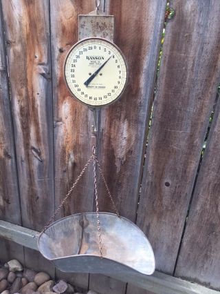 Antique Vintage Hanging Dairy Scale photo