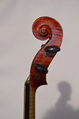 Old French Violin Stradivarius Model photo