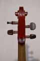 Old French Violin Stradivarius Model String photo 7