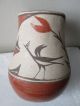 Antique 1930s Polychrome Native American Indian Zia Pueblo Pottery Vase Wit Bird Native American photo 9