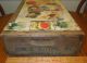 Antique Country Store Seed Display Box Edw.  Cuttings Maine Huge Rare L@@k Display Cases photo 4
