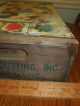 Antique Country Store Seed Display Box Edw.  Cuttings Maine Huge Rare L@@k Display Cases photo 5