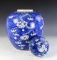 Very Large Antique Chinese Blue White Porcelain Covered Prunus Jar Vases photo 3