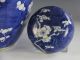 Very Large Antique Chinese Blue White Porcelain Covered Prunus Jar Vases photo 6
