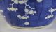 Very Large Antique Chinese Blue White Porcelain Covered Prunus Jar Vases photo 7