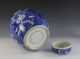 Very Large Antique Chinese Blue White Porcelain Covered Prunus Jar Vases photo 8