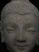 Ancient Stucco Buddha Head Gandhara/gandharan 200 Ad Stc498 Roman photo 3
