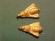 Roman/sassanian Gold Bee Amulet Circa 224 - 642 Ad. Near Eastern photo 3