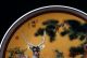 Chinese Porcelain Hand - Painted Deer Plate W Qianlong Mark Plates photo 1