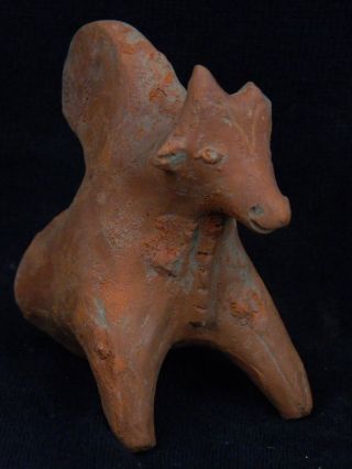 Ancient Teracotta Bull Torso Indus Valley 800 Bc Tr173 photo