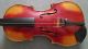 Antique Germany Giovan Paolo Maggini Violin Full Size 4/4 With Wooden Case Nr String photo 1
