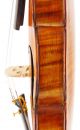 - Italian Old 4/4 Master Violin With Expert Document - Geige,  Fiddle String photo 6