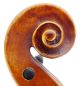 Fine,  Antique Galileo Vachier Italian Old 4/4 Violin - Geige,  Fiddle 小提琴 String photo 4