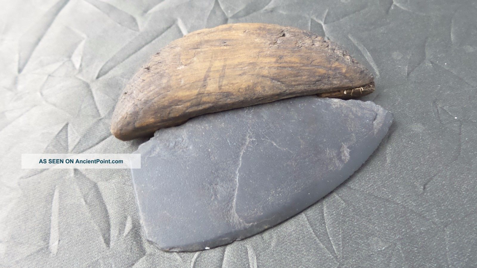 Ancient Inuit Small Ulu With Wooden Haft & Shale Blade - 1300 - 2000 Years Old Native American photo