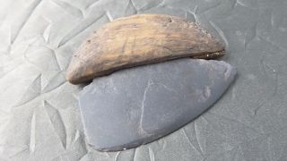 Ancient Inuit Small Ulu With Wooden Haft & Shale Blade - 1300 - 2000 Years Old photo
