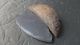 Ancient Inuit Small Ulu With Wooden Haft & Shale Blade - 1300 - 2000 Years Old Native American photo 5