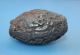 46 28 Mm Antique Dzi Meteorites Old Bead From Tibet Tibet photo 2