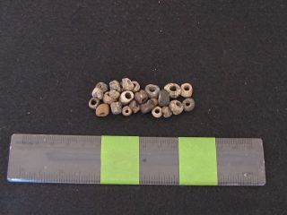 Rare Pre Columbian Stone Beads,  Colima/jailsco 200 B.  C.  300 A.  D. photo