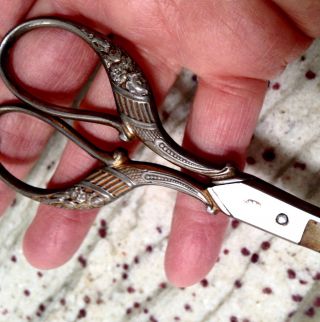 Antique Victorian Chatelaine Embossed Peres Sewing Scissors W/chain photo