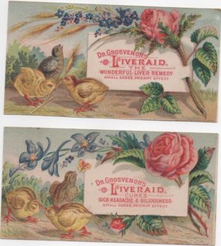 Dr Grosvenor ' S Liveraid Malaria Cure Quack Medicine (2) Adv Trade Cards C1880s photo
