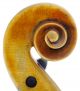 Rare,  Antique Felice Oliveri Italian Old 4/4 Master Violin - Geige,  Fiddle 小提琴 String photo 4