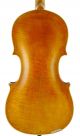 Rare,  Antique Felice Oliveri Italian Old 4/4 Master Violin - Geige,  Fiddle 小提琴 String photo 5