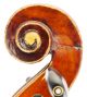 Fine,  Antique Nemo Freri Italian Old 4/4 Violin - Ready To Play - Geige,  Fiddle String photo 4