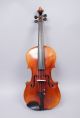 Antique Estate Found C1900 German Stainer Labeled Copy Violin W 2 Bows String photo 1
