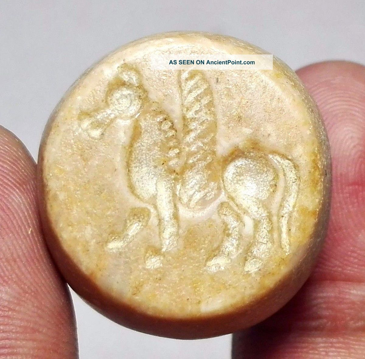 Pegasus Intaglio Carved Stone Seal Pendant Bead 23 X 25 X 21 Mm 19 G. Near Eastern photo