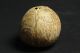 Mask Engraved On Coconut Shell - West Timor - Tribal Artifact - Pacific Islands & Oceania photo 3