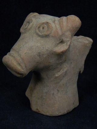 Ancient Indus Valley C.  700 Bc Teracotta Bull Head Tr556 photo