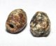 2 Ancient Beads Neolithic Granite Neolithic & Paleolithic photo 2