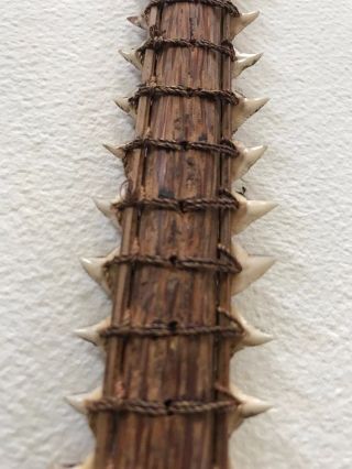 Aboriginal Papua Guinea Marshal Island Shark Tooth Sword photo
