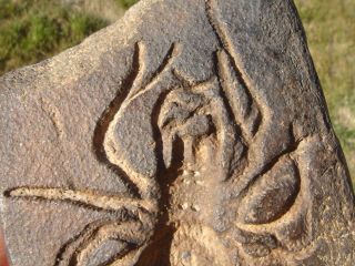 Spider Effigy Stone,  Prehistoric Southwestern Colorado,  1800s photo