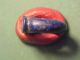 Ancient Egyptian Inscribed Ring Of Lapis Lazuli Egyptian photo 1