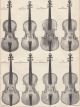 Violins Of The Great Masters Famous Violins Antique Music Art Print 1882 String photo 1
